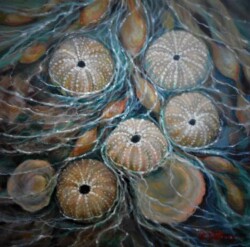 Pat Edep"Tide Pool Itchin For Urchins"