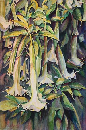 Hedi Roethel "Angel Trumpets"
