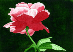 Julian Bloom "Illumination"