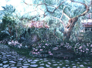 Mary McGlasson "El Patio"