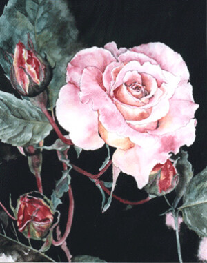 Mary McGlasson "Rose"