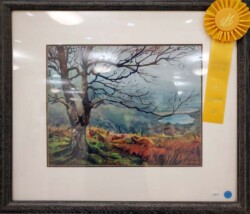 Chin-Ming Chan "Mystic Morning"