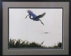 Chinfeng Chang "Egret Bird Catches Fish"