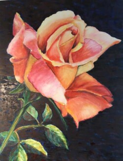 Hedi Roethel "A Rose is a Rose"