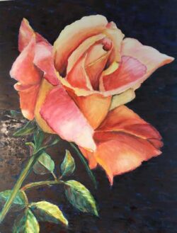 Hedi Roethel "A Rose is a Rose"