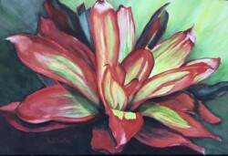 Hedi Roethel "Rhapsody in Red and Green"