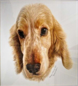 Helen Glover "My Shadow, Bramston" Pencil Painting Honorable Mention