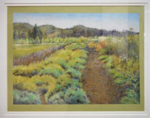 Karen Taka "Lavender"