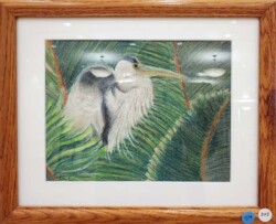 Kathleen Wallace-Phelps "Great Blue Heron in the Palms"