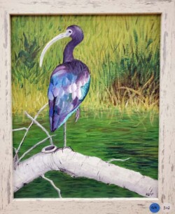 Kathleen Wallace-Phelps "White-faced Ibis in El Dorado Park"