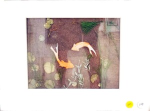 Mary McGlasson "Something Fishy"