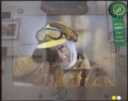 Robert Meyer "Fire Fighter"