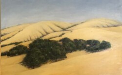 Steven Coler "California Gold and Oaks"