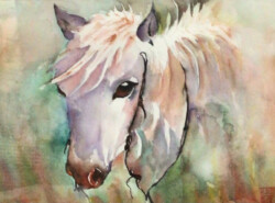 Alice Sioson "Luna" WaterColor, NFS