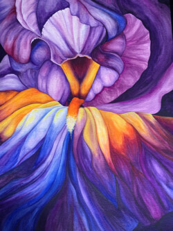 Irene Williams "Iris Ablaze" WaterColor, NFS