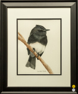 Jean McAlister "Phoebe" WaterColor, NFS