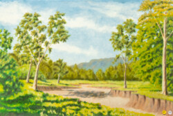 John Fox "Eucalyptus Arroyo" Oil/Acrylic, POR