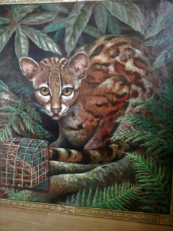 Pat Edep "South American Margay "Margie" Oil/Acrylic, $1200