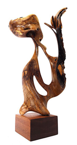 Robert Rosenfield _"#0418 Myoporum Root Ball Segment" 3-D, $2500