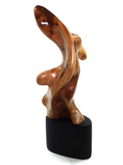 Robert Rosenfield "#11092 Manzanita" 3-D, $595