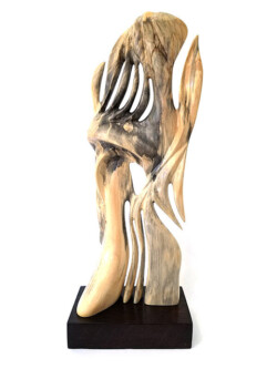 Robert Rosenfield "#11192 Buckeye" 3-D, $1500