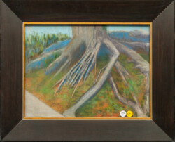 Ron Schrantz "Roots" Other Media, POR