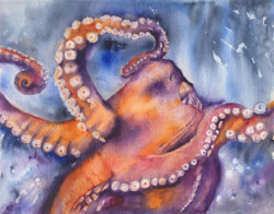 Sandy Winkler "Octopus I" WaterColor, NFS