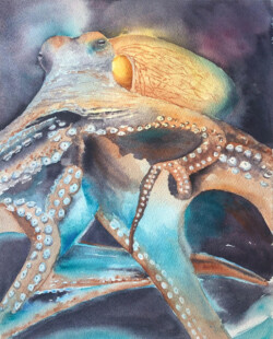 Sandy Winkler "Octopus II" WaterColor, NFS