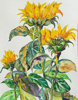 Alice Sioson "Sunflowers" Watercolor, NFS