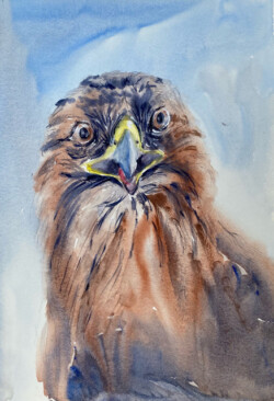 Alix Sullivan "I See You" Watercolor, NFS