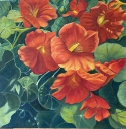 Oksana Orel "Backyard Nasturtiums" Oil/Acrylic, NFS