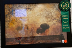 Renee Stewart "Autumn Solitude" Digital Image, NFS