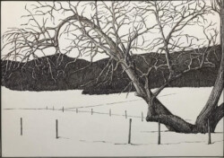 Steve Coler "Winter Oak" Other Media, $185