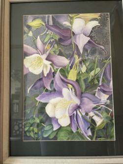 Susan Tierney "Columbines" Watercolor, $600