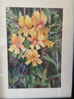 Susan Tierney "Wildflowers" Watercolor, $600