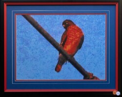 David Rucker "Blue Line Hawk" Photograph $120