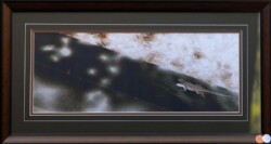 David Rucker "Space Lizard" Photograph $100