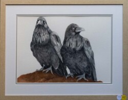 Jean McAlister "Ravens IV" Watercolor NFS
