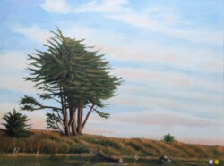 John Fox "Samoa, California" Oil/Acrylic POR