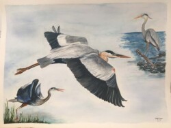 Kathleen Smalley "Great Blue Heron" Watercolor $2,200