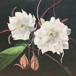 Kathleen Smalley "Night Blooming Cereus" Watercolor $800