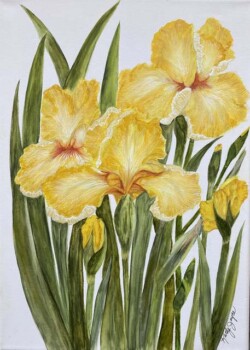 Kathleen Smalley "Yellow Irises" Watercolor $900