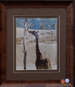 Lorena Sikorski "Lunch" Photograph NFS