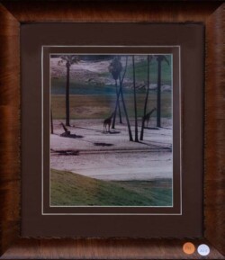Lorena Sikorski "Oasis" Photograph NFS