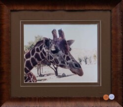 Lorena Sikorski "Up Close" Photograph NFS