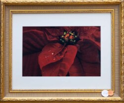 Mary McGlasson "Red" Digital Image POR