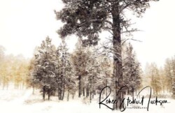 Renee Stewart "Forest and the Trees" Digital Image NFS