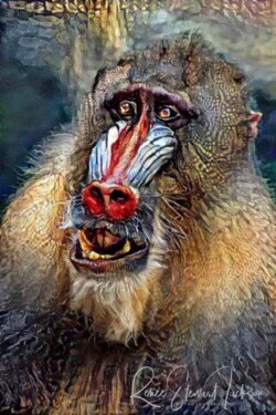 Renee Stewart "Mandrill #1" Digital Image NFS
