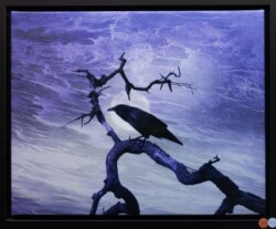 Robert Ball "Raven Perched" Digital Image $150