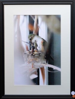 Roland Escalona "Mother and Child" Photograph $150